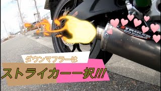 Striker ストライカー Strikerステップリペア ペダルエンド Gapless Striker ストライカー Strikerステップリペア ペダルエンド Gapless