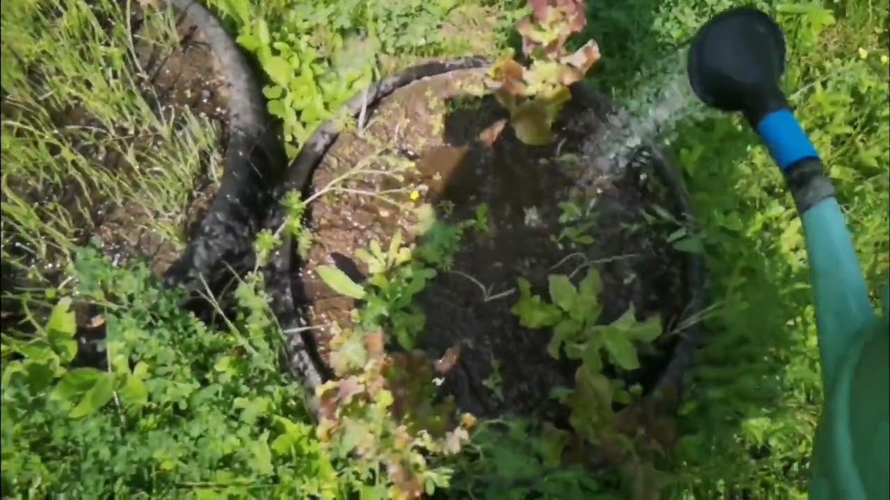 Жаркое лето. 2025.