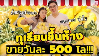 ทุเรียนขึ้นห้าง ขายได้วันละ 500 โล I บักโพธิ์