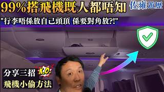 飛機老鼠盜竊過程你要知 三招保平安｜隨片附送：乘客防鼠表