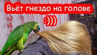 VLOG Настя больше не боится