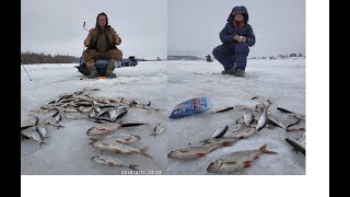 Легкий способ сборки палатки автомат. Ловля плотвы в хорошей компании в с. Каракулино.