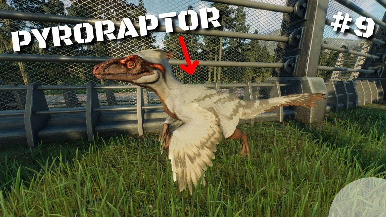Pyro Raptors UN PYRORAPTOR !!! jurassique World évolution 2 #9 - YouTube