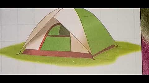 Class 1 EVS Chapter 5 Home sweet Home