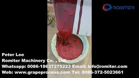 Automatic Grape Pulping and Stem Seeds Removing Machine