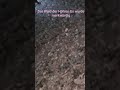 #ghost #horror #ghostarea #natur #para #subscribe #scary #paranormal #fypシ゚viral #foryou
