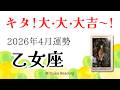 乙女座4月は大・大・大吉やって来た！自分を信じる力が幸運を呼ぶ！絶対見てね♡2026年4月運勢【癒しのタロット個人鑑定級】