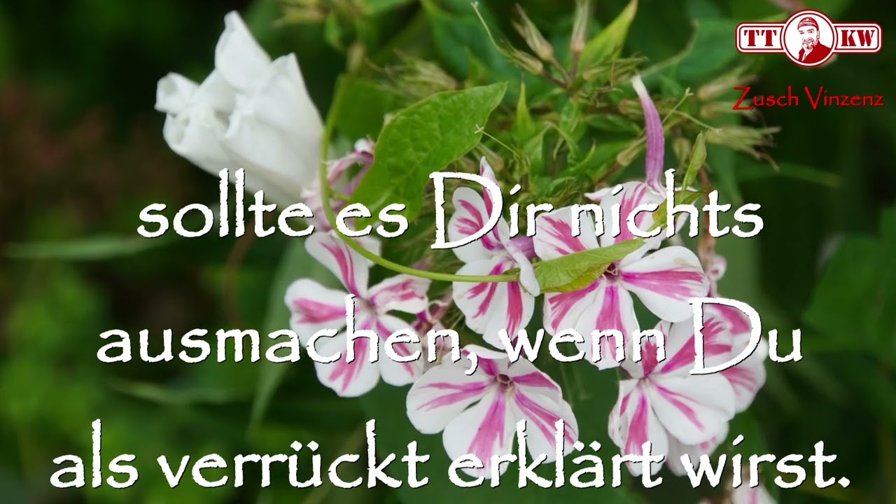 ausgefallen verrückt freche guten morgen grüße