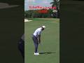 Scottie Scheffler's ball goes right at the flag stick!!