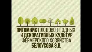 Питомник плодово-ягодных и декоративных культур фермерского хозяйства Белоусова.Э.В(, 2015-09-19T18:15:55.000Z)