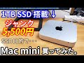 M4 Mac miniはどうせ高くて無理！代わりにジャンク5千円で1TB SSDのMac miniを購入した結果