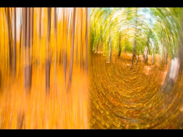 Motion Blur- how to create movement in your photos by using this tip