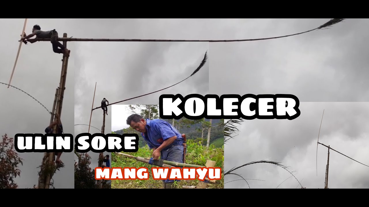 KOLECER !!! ULIN SORE MANG WAHYU || gk diupload gk tau hobi seseorang😁