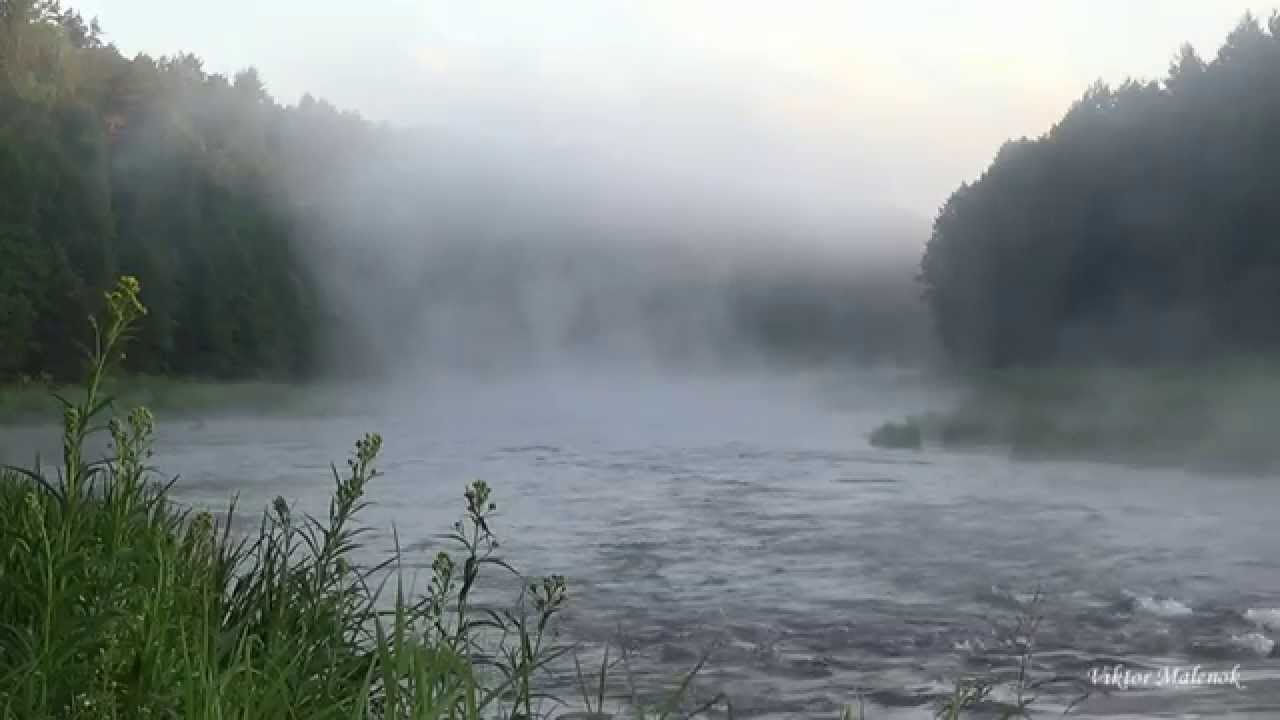 Река шум воды. Река Чернодыриха. Чернодыриха озеро. Рыбалка река Чернодыриха. Брюс Гернон туман над водой.