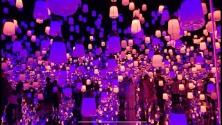 Digital art museum; teamlab borderless ...