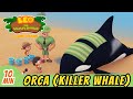 The Orca (Killer Whale) | Help Free a BEACHED Whale! | Full Episode | Leo the Wildlife Ranger | Kids