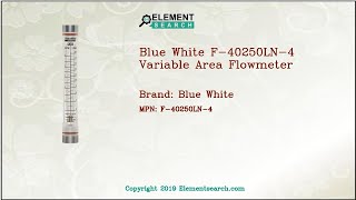 Blue White F-40250LN-4 Variable Area Flowmeter