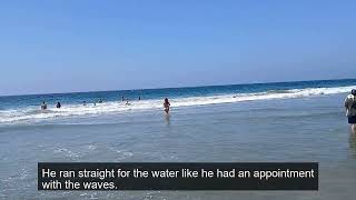 Father & Son Day at Venice Beach | September 2025 Memories