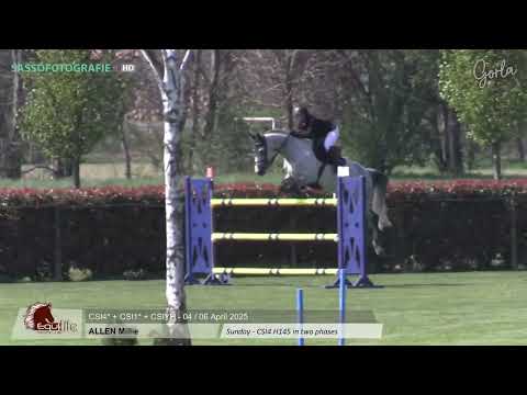 Genesis de Talma 145 CSI4**** Gorla Minore