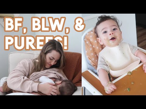 WHAT MY 6 MONTH OLD EATS IN A DAY | BF + Baby Led Weaning AND Purees