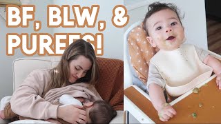 WHAT MY 6 MONTH OLD EATS IN A DAY | BF + Baby Led Weaning AND Purees