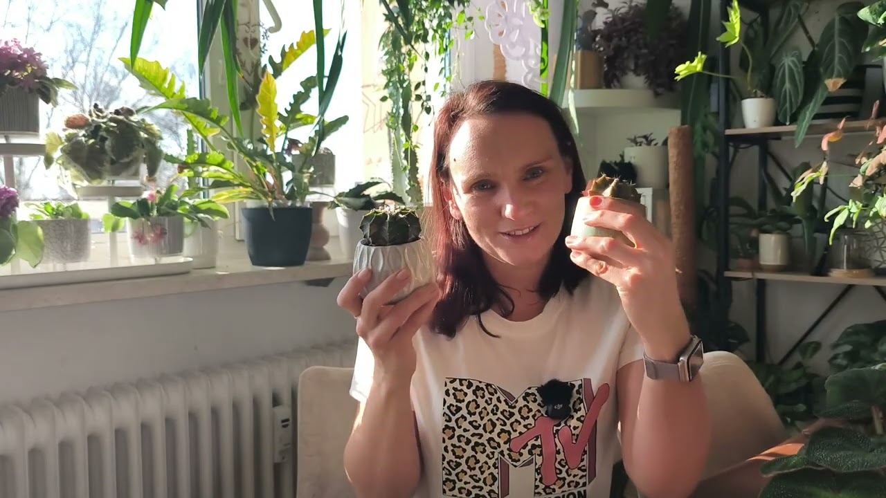 Te 5 roślin to mój HIT tego miesiąca 🌿🔥