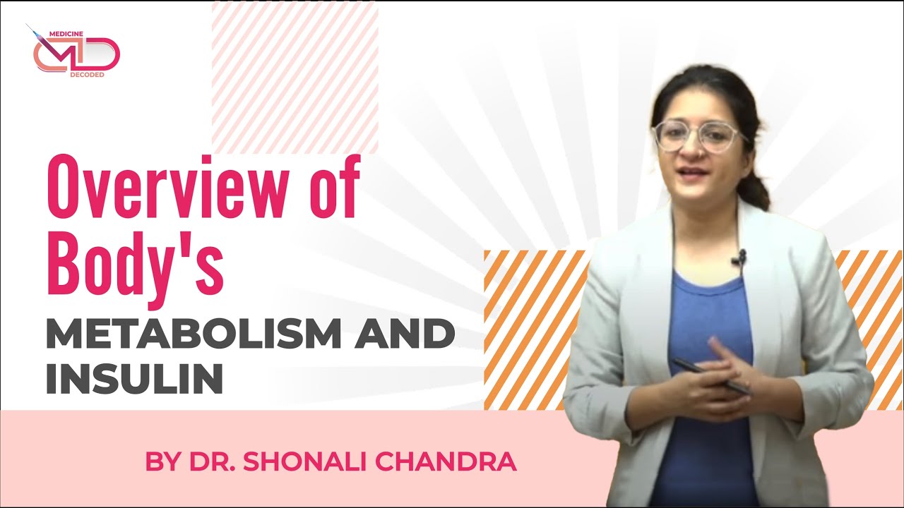 Overview of body's Metabolism and Insulin || Back to Basics || Dr. Shonali Chandra
