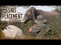 Shot Placement on Elephants | 6