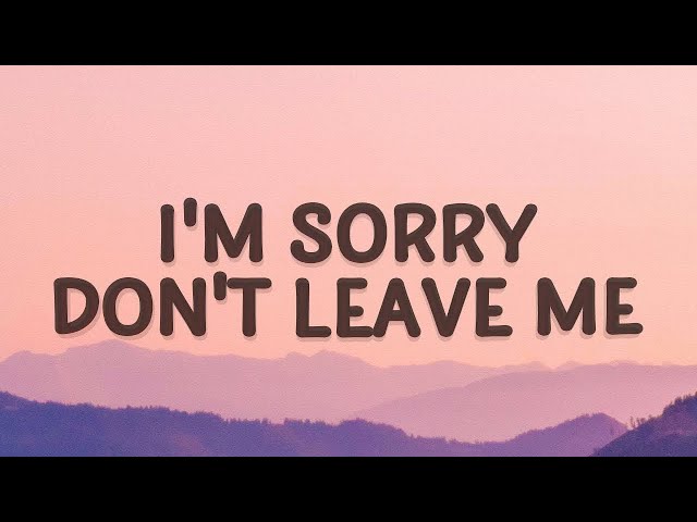 [1 HOUR 🕐] SLANDER - I'm sorry don't leave me Love Is Gone (Lyrics) ft Dylan Matthew Acoustic class=