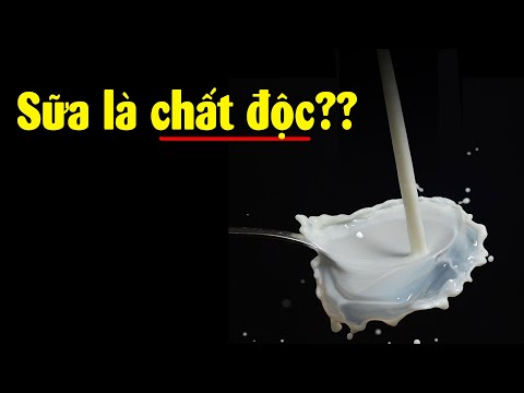 Video Có thể bạn không dám uống sữa sau khi xem video này ???? - youtube