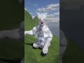 Shimos emotes