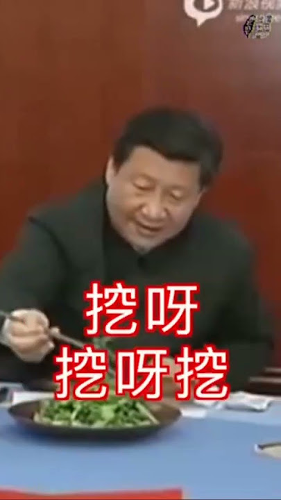 挖呀挖呀挖 #习死皇 🐷版 🤣