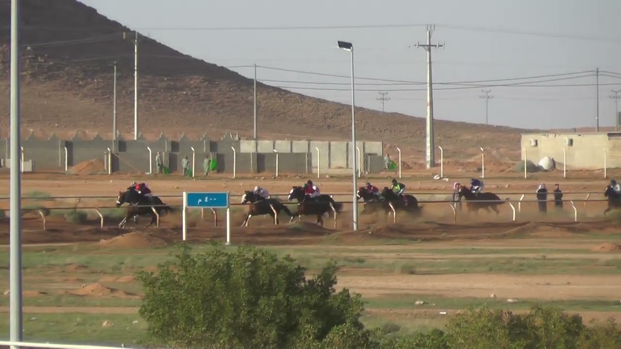 يبهرهم الحفل الخامس عشر والختامي الشوط الرابع موسم 1447هـ .