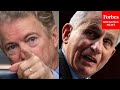 "He Was Lying To You": Rand Paul Calls Out Dr. Fauci