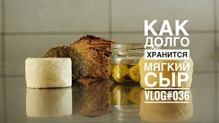 Как сохранить мягкий сыр 1 год