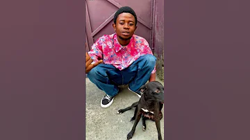 Badboy Niggu Réalité 