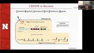 Guest Lecture:CRISPR/Cas9 Genome Editing in the Green Alga Chlamydomonas reinhardtii