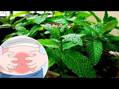 remedios naturales para la artritis Elimina La Gastritis De Un Solo Golpe Con 2 Ingredientes