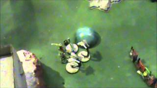 1500pts Necron vs Dark Eldar Battle Rep