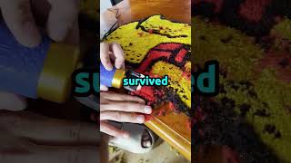 Whats The Most Unhinged Way Youve Ever Ped An Exam You Had Zero Business Ping?