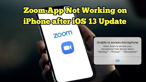 Zoom App Audio/Video Not Working on iPhone after iOS 15/14 - Fixed