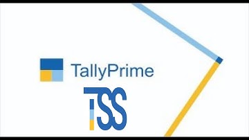 Tally Software Services Or TSS