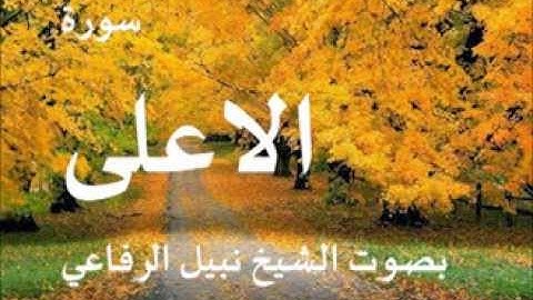 سورة الاعلى بصوت الشيخ/ نبيل الرفاعي 87