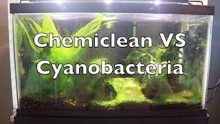 Chemiclean VS Cyanobacteria