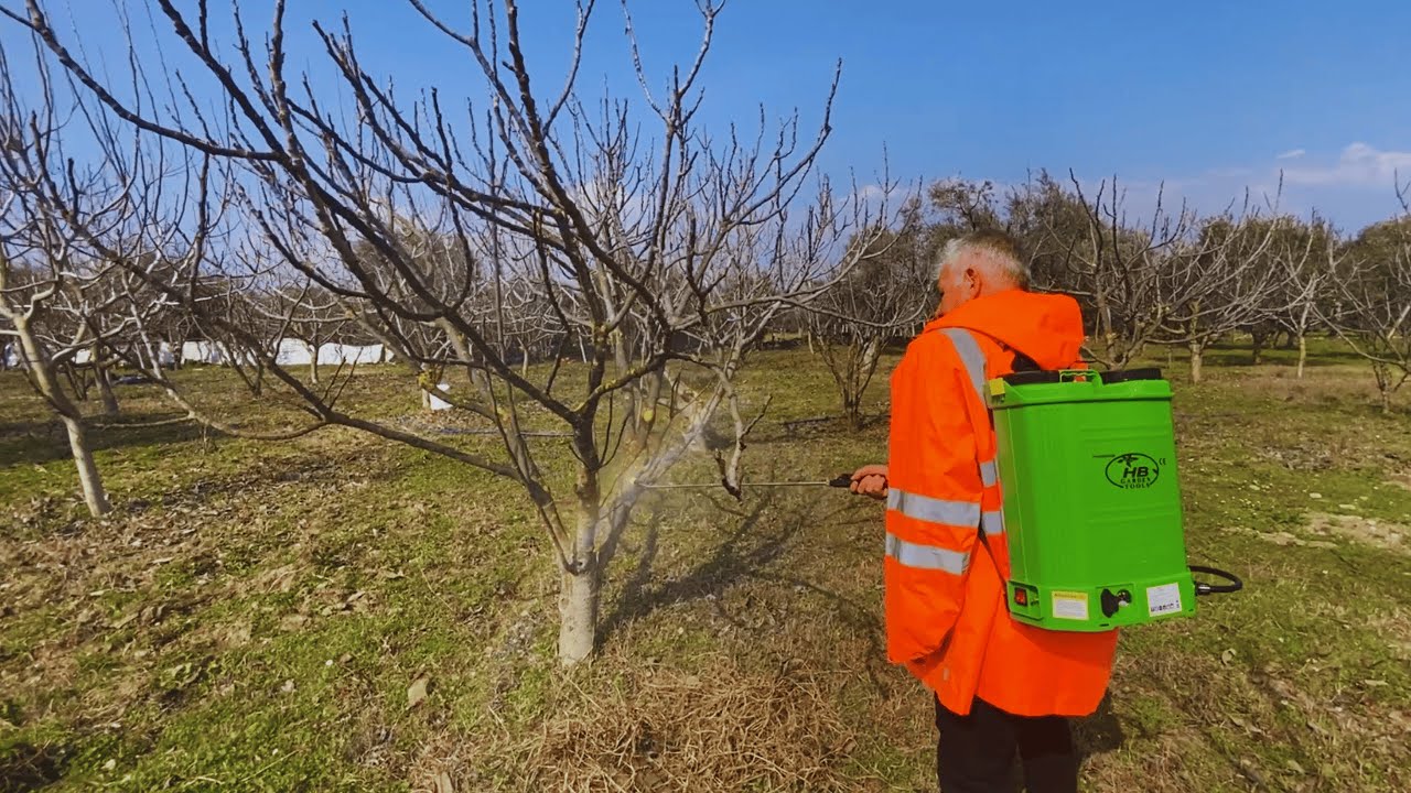 Ağaç İlaçlama Rehberi: Sistemik Bakırlı İlaç ve Doğru Uygulama Teknikleri