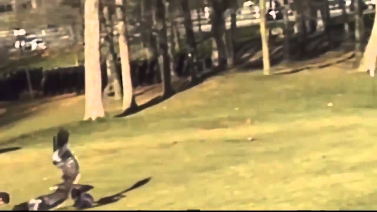 Eagle Picks Up A Baby YouTube YouTube