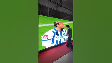 Can You Feel the Stadium Vibes? We Watched on an LED Screen! #ledscreen #leddisplay