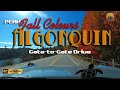 Beautiful Fall Drive thru Majestic Algonquin Park!