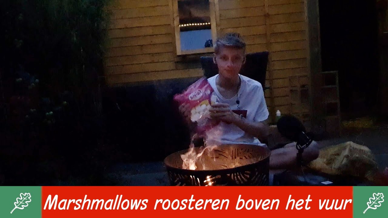 Marshmallows Roosteren Boven Het Vuur Mukbang, Fluisteren, Vuur