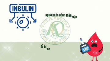 5 nguyên nhân gây hạ đường huyết không do tiểu đường